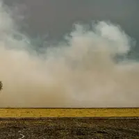 باد و گردوغبار خراسان رضوی را فرا می‌گیرد