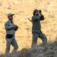 کشف ۴ لاشه روباه تلف‌شده در تایباد