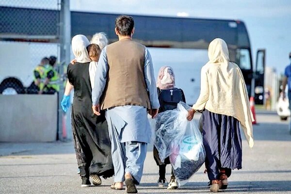 استانداری: مشاوران املاک از اجاره مسکن به اتباع غیرمجاز خودداری کنند