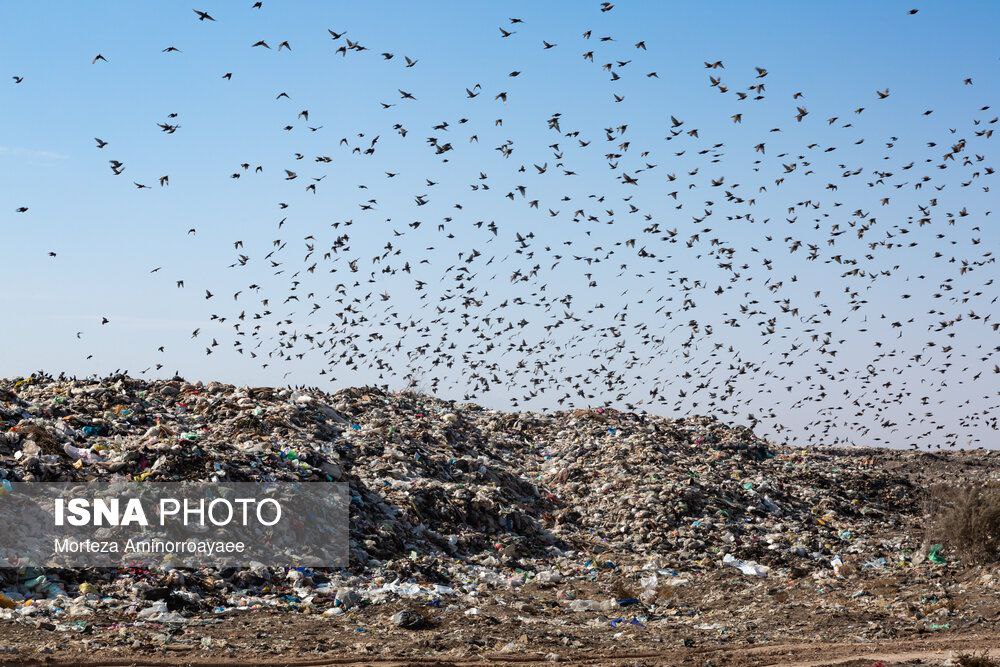 فاجعه زیست محیطی در زباله‌گاه نیشابور