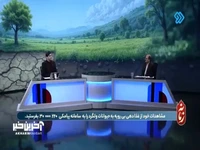 تهدید به قتل مخالفان غذادهی به حیوانات ولگرد!