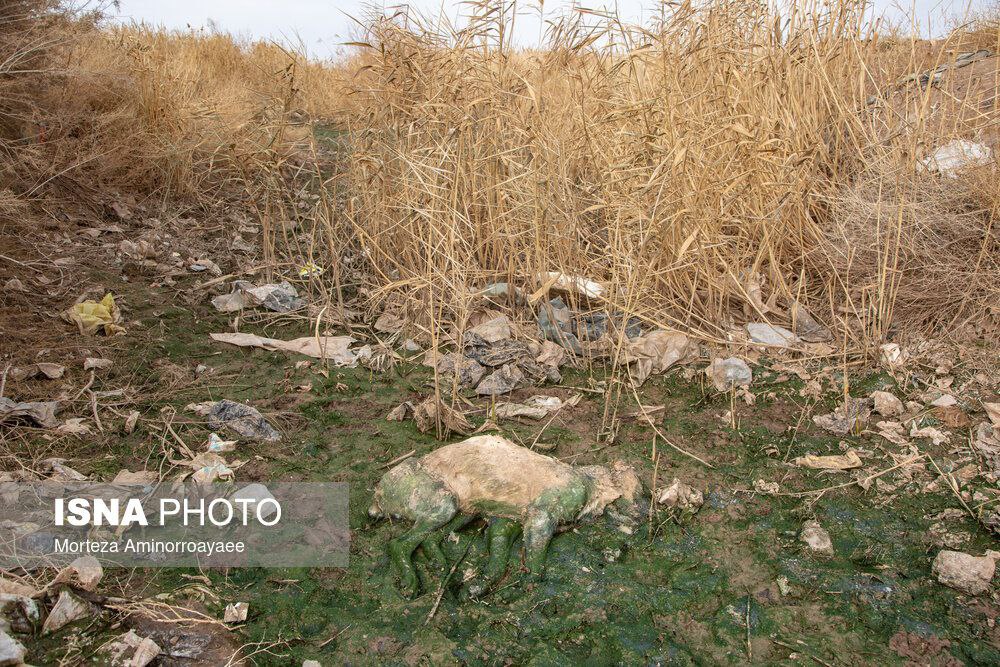 فاجعه زیست محیطی در زباله‌گاه نیشابور