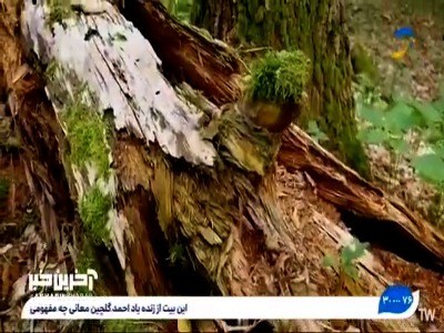 نماهنگ «تمنای وصال» با صدای عبدالحسین مختاباد