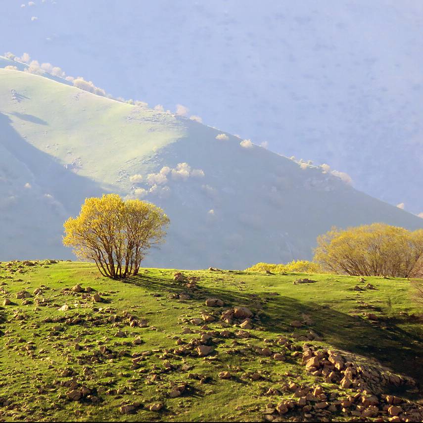 پنج اثر طبیعی استان کرمانشاه ثبت ملی شد