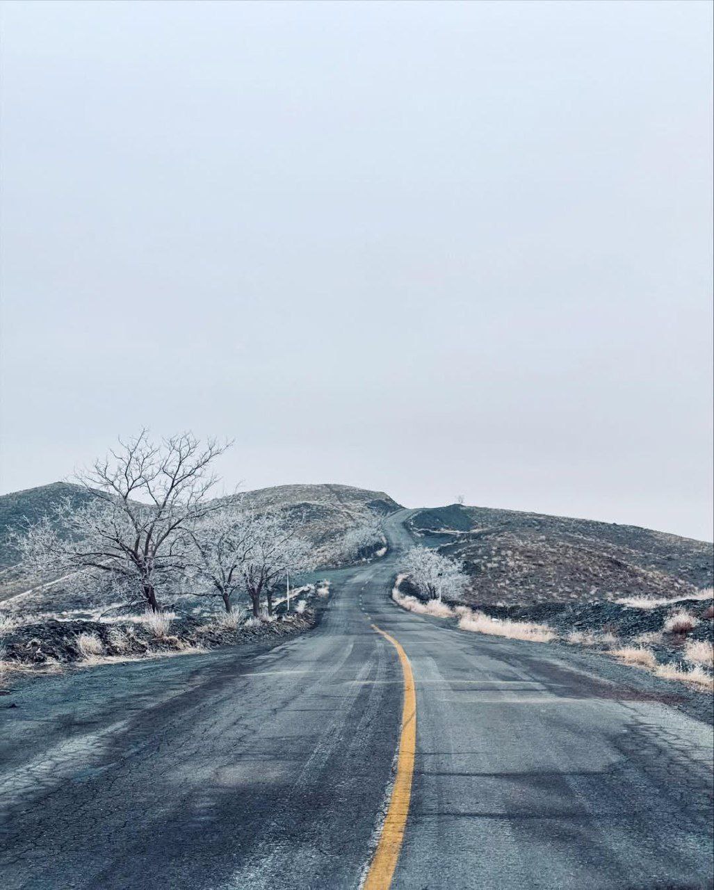 تصاویری از صبح مه آلود روستای دهبار مشهد