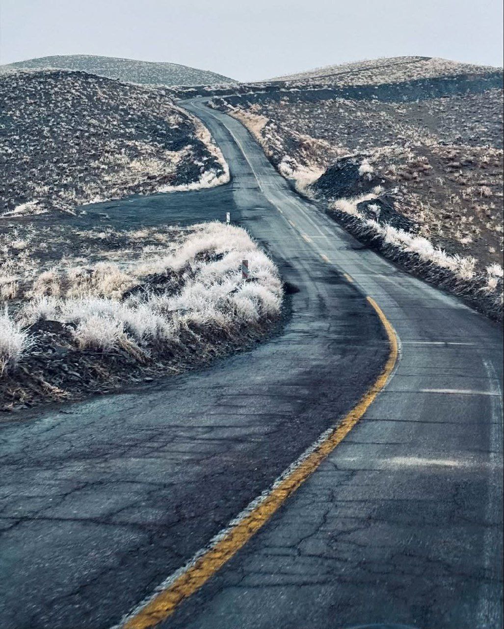 تصاویری از صبح مه آلود روستای دهبار مشهد