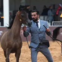 جشنواره بین المللی اسب عرب سومر در بغداد