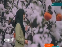 ورود سامانه بارشی به کشور از روز شنبه