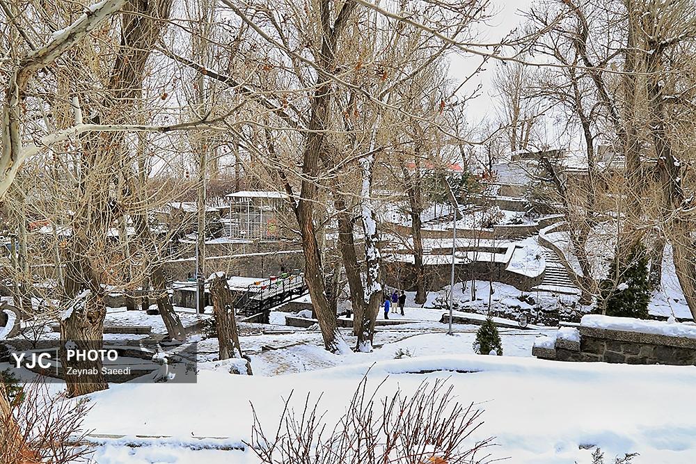 عکس/ طبیعت زمستانی آبشار گنجنامه همدان