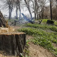 درگیری گروه قاچاقچیان چوب با ماموران یگان حفاظت منابع طبیعی نور