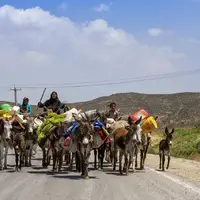 نیمی از ایل‌راه‌های گلستان بازسازی شد