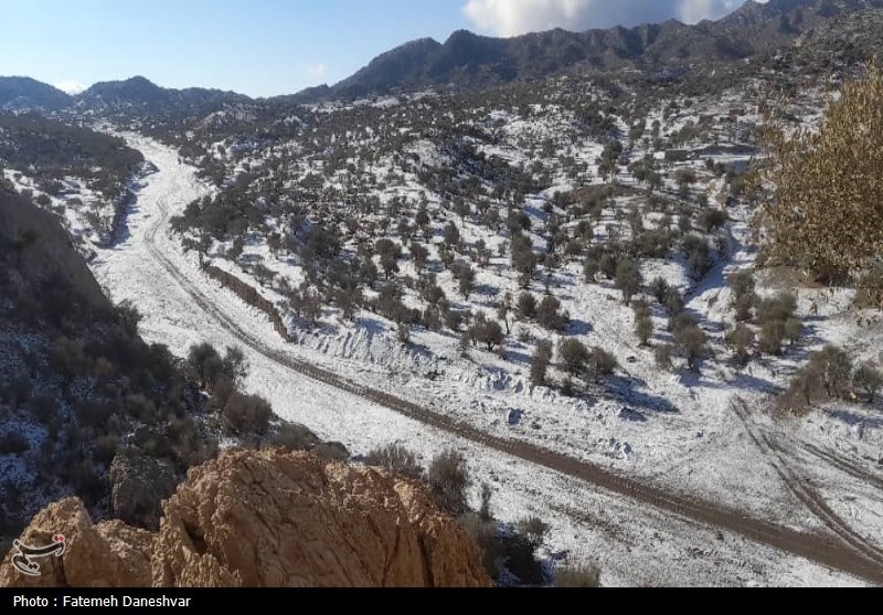 بارش برف کردستان را فرا گرفت؛ فردا یخبندان می‌شود