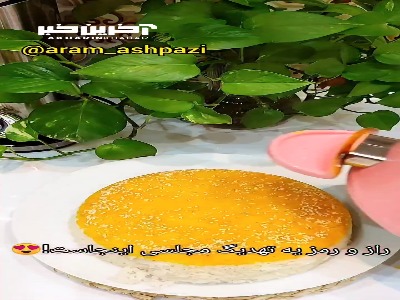 طرز تهیه ته دیگ ماستی مجلسی