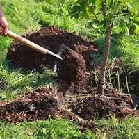 کاشت ۴۰۰ اصله نهال در طرح مردمی «کاشت یک میلیارد درخت» در شیروان