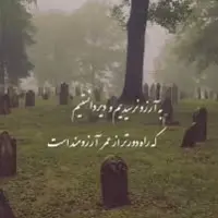 به آرزو نرسیدیم و دیر دانستیم...