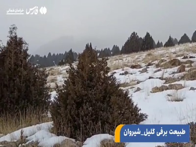 طبیعت زیبای برفی گلیل