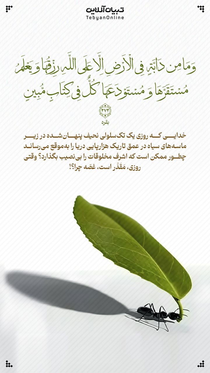 طرح/ روزی، مقدّر است