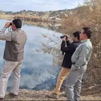 آغاز کار شمارش پرندگان مهاجر آبزی در ۱۰ آبگیر کهگیلویه و بویراحمد