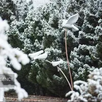 بارش برف و باران زنجان را فرا می‌گیرد