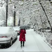 هشدار برف و کولاک در نوار شمالی کشور