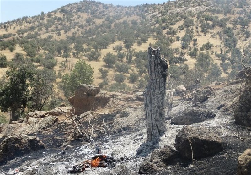 خسارت ۴۰۰ هکتاری آتش‌سوزی به مناطق حفاظت‌شده لرستان