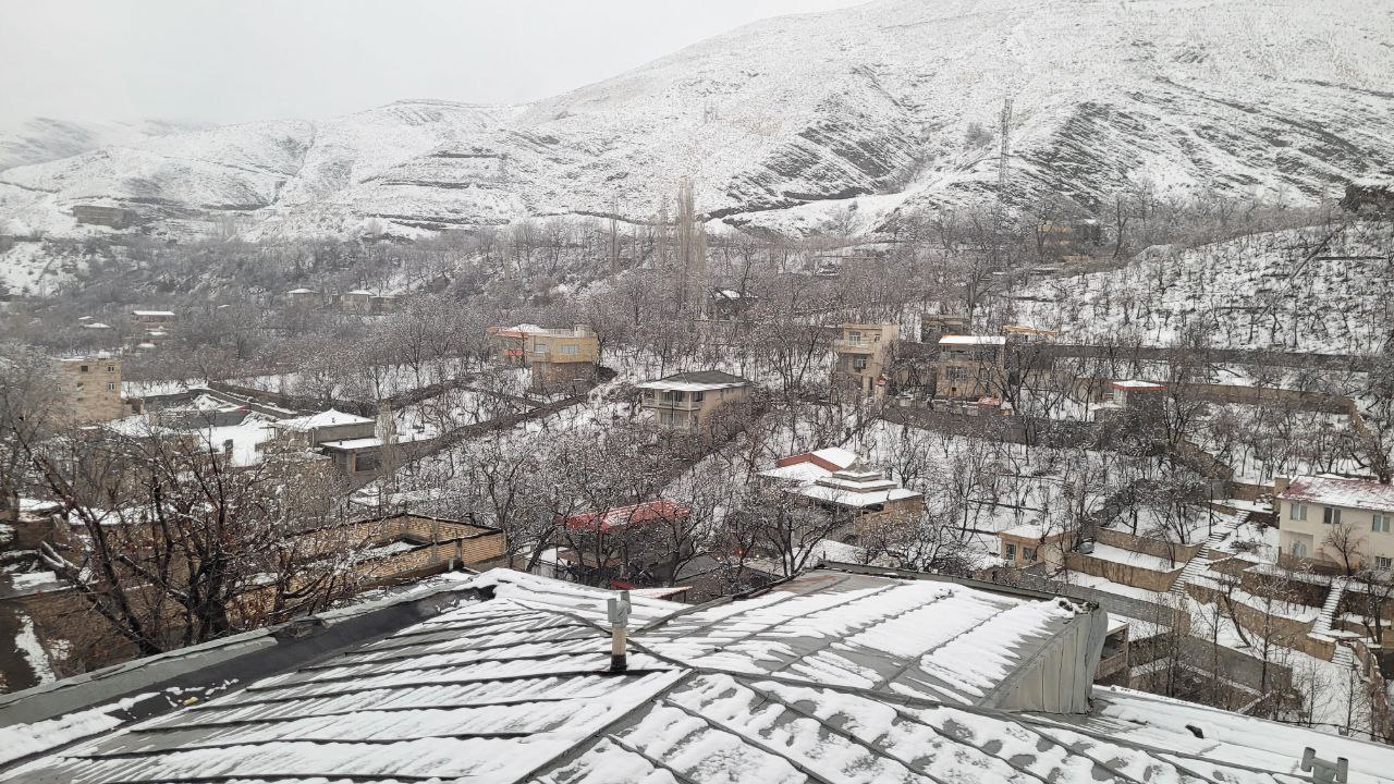 زشک زیبای برفی 