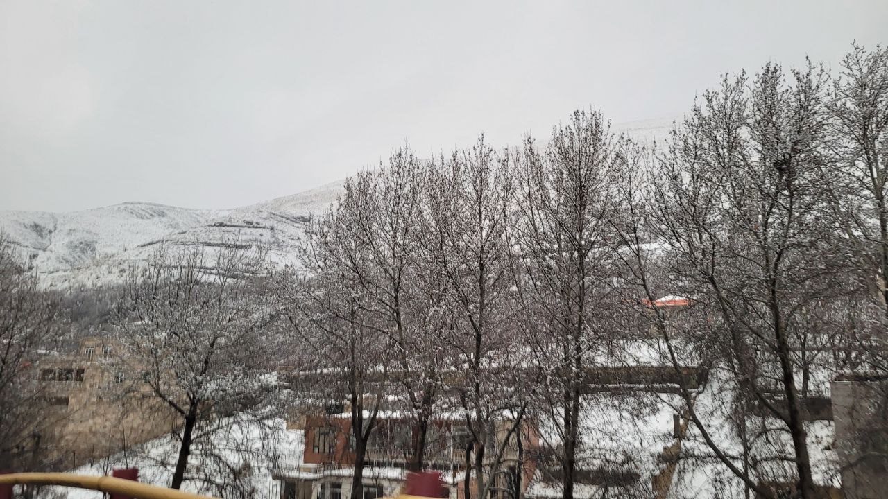 زشک زیبای برفی 