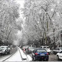  تصاویری از شروع بارش برف در شمال تهران