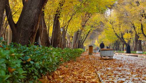 سرمای هوا در خراسان رضوی ماندگار است