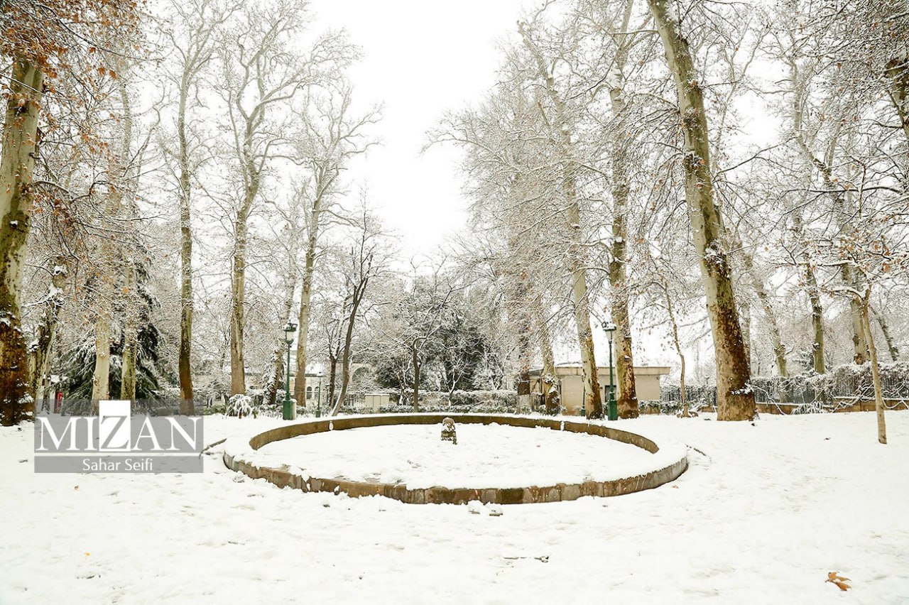 عکس/ بارش برف در شمال تهران