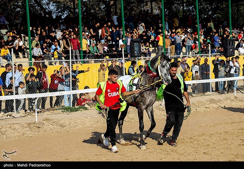 هفته سوم مسابقات کورس اسبدوانی کشور در اهواز