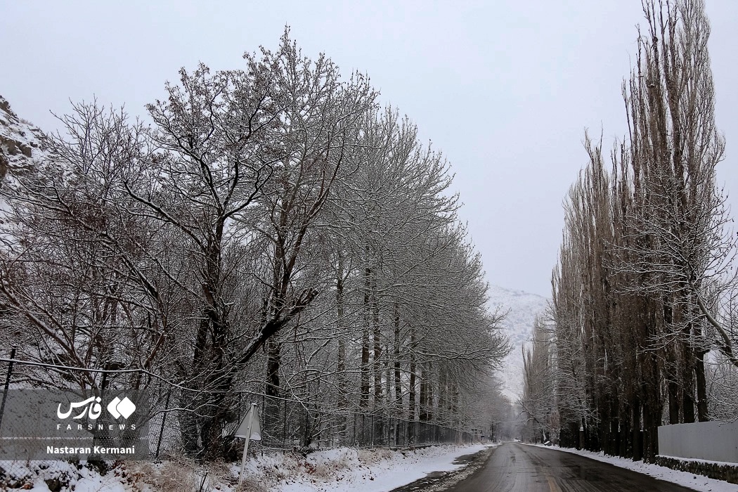 عکس/ بارش نعمت الهی در زیباترین جاده ایران