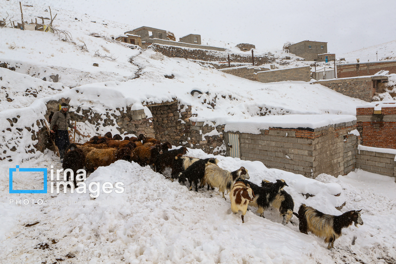 بارش برف زمستانی در روستای اسکندان اسکو