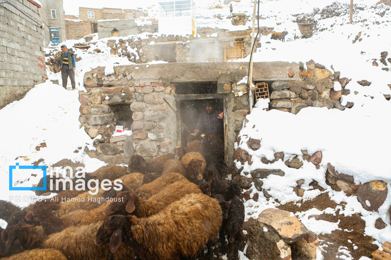 بارش برف زمستانی در روستای اسکندان اسکو