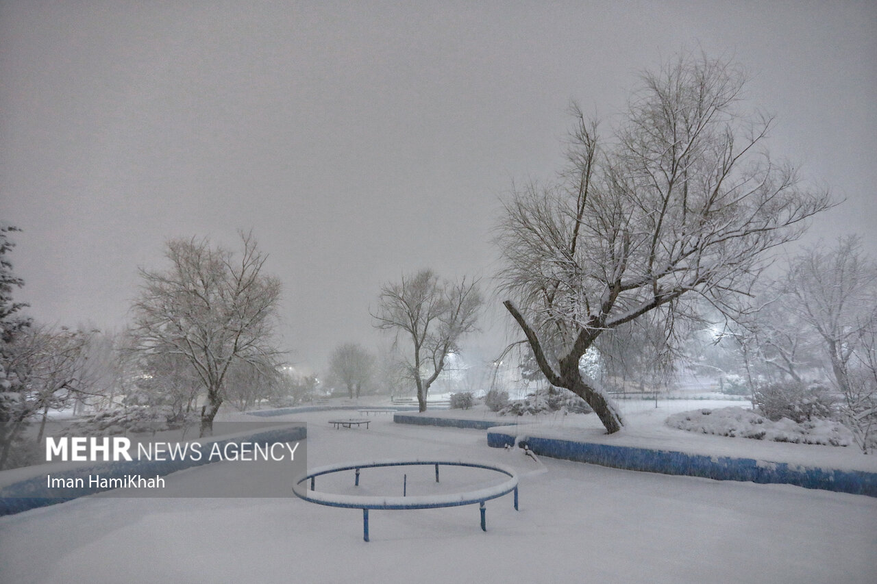 بارش شبانه برف در همدان