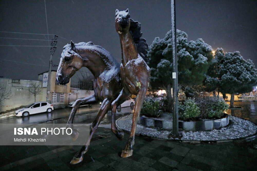 عکس/ بارش سنگین شبانه برف در همدان  