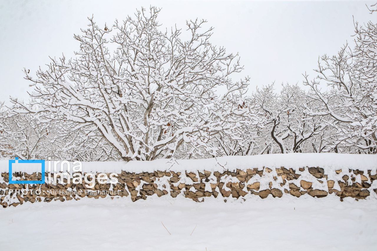 عکس/ بارش برف زمستانی در روستای اسکندان اسکو