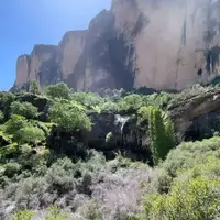 پنج ذخیره‌گاه جنگلی در دزفول ثبت ملی شده است