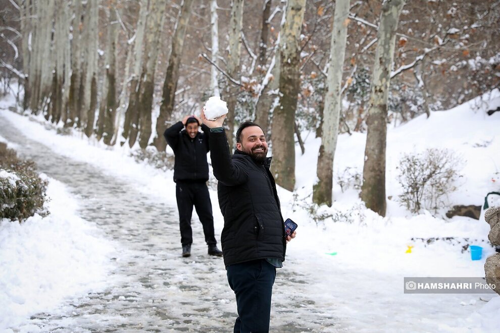 جشن آدم برفی‌ها در بوستان جمشیدیه تهران