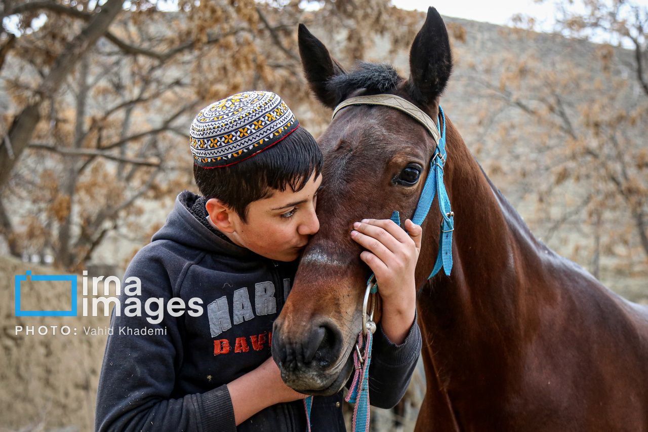 جشنواره اسب ترکمن در استان خراسان شمالی