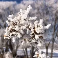 آخرین دماهای ثبت‌شده در استان اردبیل