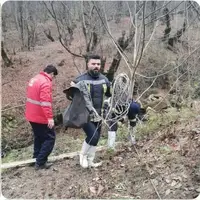 سقوط سنگ جان مقنی بابلی را گرفت