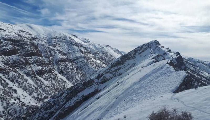 کوهنوردان مفقودشده در ارتفاعات دنا پیدا شدند