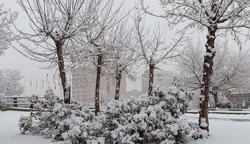 برف و باران میهمان اردبیلی‌ها می‌شود