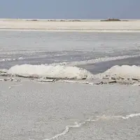 رئیس اسبق سازمان فناوری اطلاعات: دریاچه نمک را داده‌ایم به کمیته امداد که با بیل، نمک خوراکی بفروشد