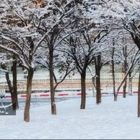 سرما و یخبندان کردستان را فرا می‌گیرد