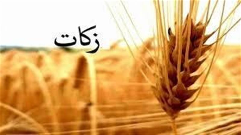 جمع‌آوری ۱۷ میلیارد میلیون تومان زکات در خراسان جنوبی