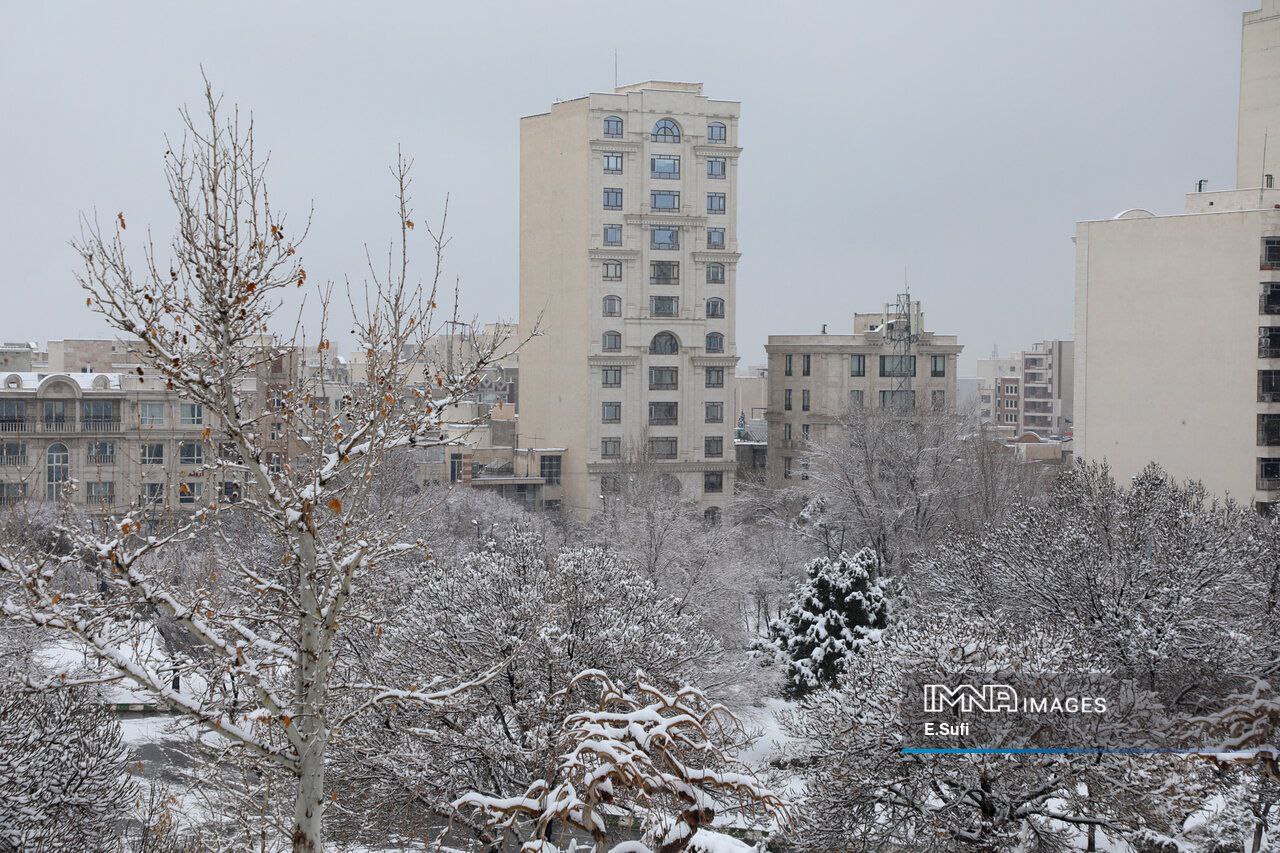 عکس/ بارش برف در اراک