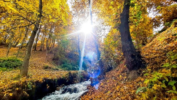 افزایش دمای هوا در گیلان