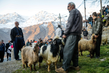 مراسم سنتی «پیرشالیار»